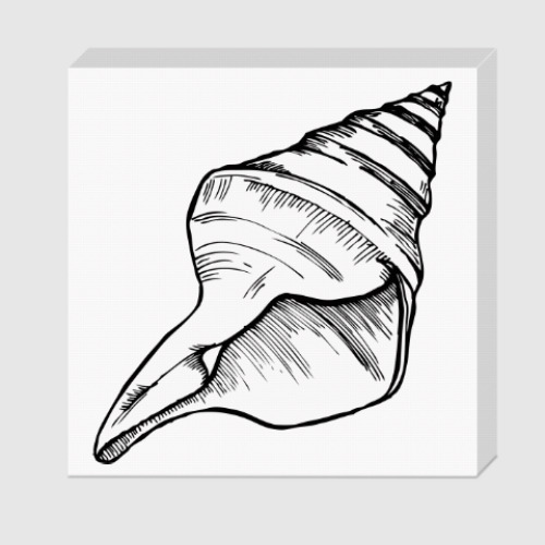 Холст морская раковина