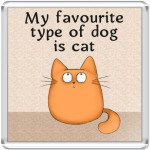 Обожатель кошек