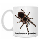 Кружка 330 мл