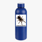 Термобутылка