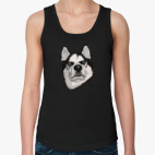 Суровый Хаски