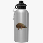 Спортивная бутылка