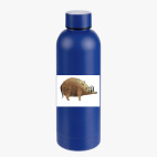 Термобутылка