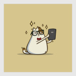 Пятничный Котик №4
