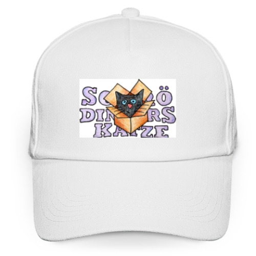 Кепка бейсболка с принтом Кот Шрёдингера в коробке