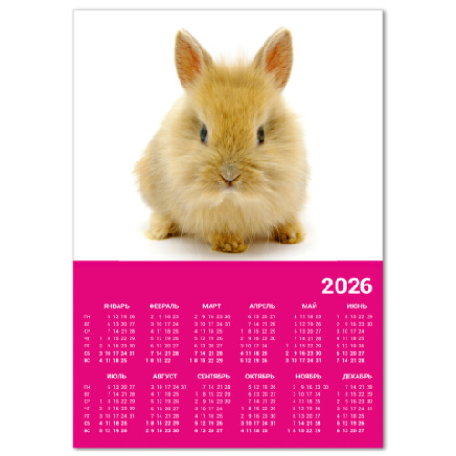Календарь с принтом  'Очаровашка'