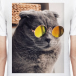 Кот-хитпстер