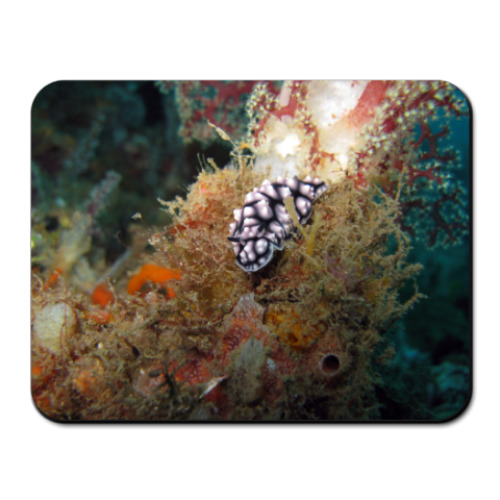 Коврик для мыши с принтом  'Молюск'