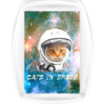 котейка космонавт