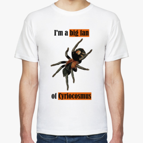 Футболка с принтом Cyrios