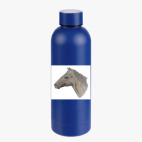 Термобутылка