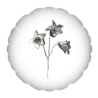 Колокольчик