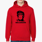 Viva la evolucion