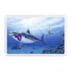 Акула прикол