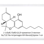 Асимметричный ответ ФСКН