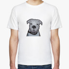 Пёс Дядя Фёдор