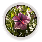 Меланжевая петунья