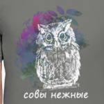 Совы нежные