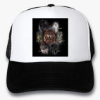 Кепки Trucker