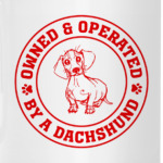 Owned & Operated By Dachshund