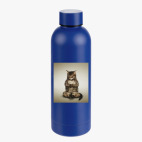 Термобутылка