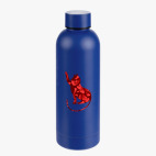 Термобутылка