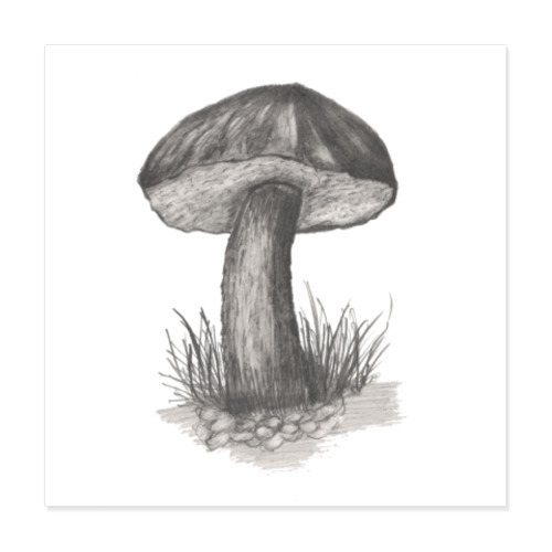 Виниловые наклейки с принтом Гриб
