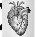 Кровеносные сосуды