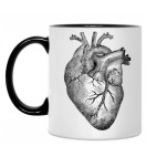 Кровеносные сосуды