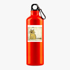 Металлическая бутылка 700 мл UV-DTF