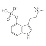 Асимметричный ответ ФСКН