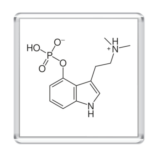 Магнит с принтом Асимметричный ответ ФСКН