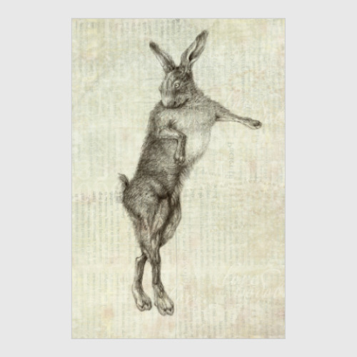 Постер Rabbit