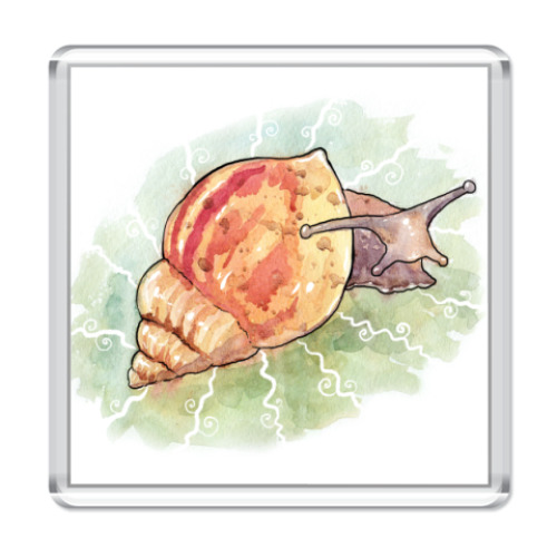 Магнит с принтом  Улитка