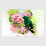 Колибри в цветах