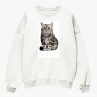 Свитшот оверсайз