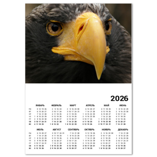 Календарь Ястреб