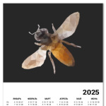 Пчела / Bee