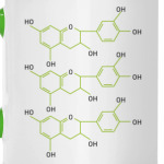 Зеленый чай