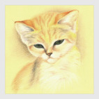 Барханная кошка