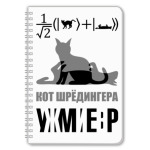Котэ Шрёдингера