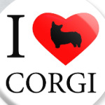 I love Corgi