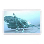 Магнит 7,5 x 5,1 см Муха