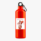 Металлическая бутылка 700 мл UV-DTF