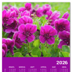 Камчатка, цветы