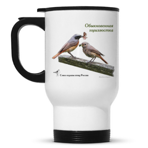 Кружка-термос с принтом Обыкновенная горихвостка