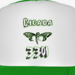 Cicada 3301