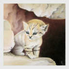 Барханный котенок