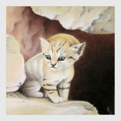 Постер Барханный котенок