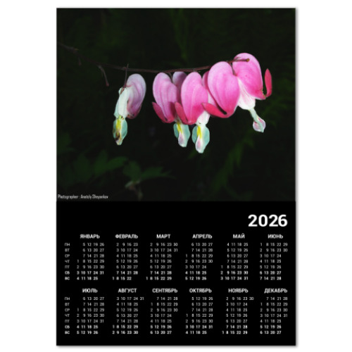 Календарь с принтом Разбитое сердце